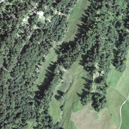 Satellite imagery of Günhorn, CH