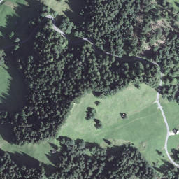 Satellite imagery of Lütscherligütsch, CH