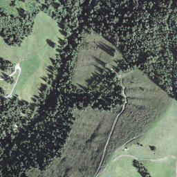 Satellite imagery of Schübelsmoosegg, CH