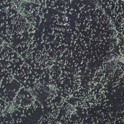 Satellite imagery of Haldimattstock, CH