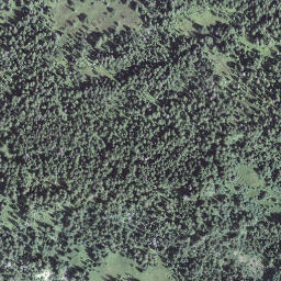 Satellite imagery of Lätzenegg, CH