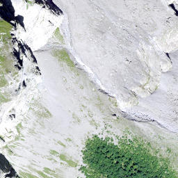 Satellite imagery of Zuetribistock, CH