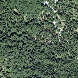 Satellite imagery of Vogelstein, CH