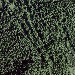 Satellite imagery of Mot dal Müs-chel, CH