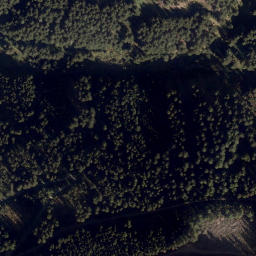 Satellite imagery of survey_point, SI
