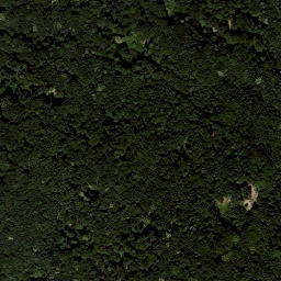 Satellite imagery of Stradner Kogel, AT