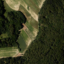 Satellite imagery of Bruchen, AT