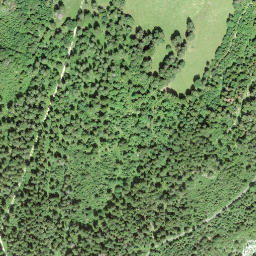 Satellite imagery of borNE-VD.10, CH
