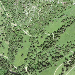 Satellite imagery of Mont de la Maya, CH