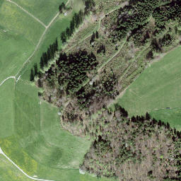 Satellite imagery of Bütschelegg, CH