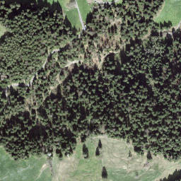Satellite imagery of Fuchsegg, CH