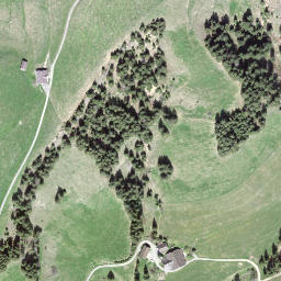 Satellite imagery of Wachthubel, CH