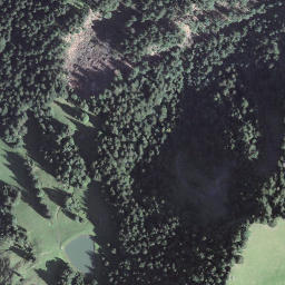 Satellite imagery of Lütscherligütsch, CH
