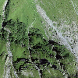 Satellite imagery of Roggenfurgga, CH
