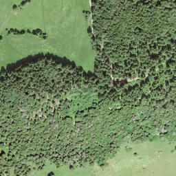 Satellite imagery of Mont Buclard, CH
