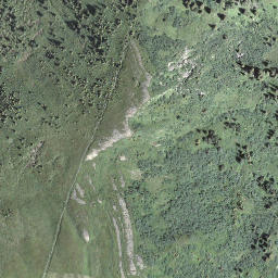 Satellite imagery of Hinswängi, CH