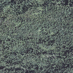 Satellite imagery of Lätzenegg, CH
