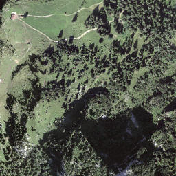 Satellite imagery of Griggeler, CH