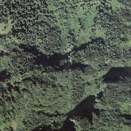 Satellite imagery of Griggeler, CH