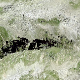 Satellite imagery of Wisshorn, CH