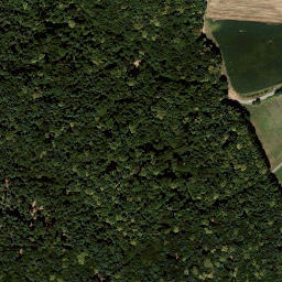 Satellite imagery of Stradner Kogel, AT