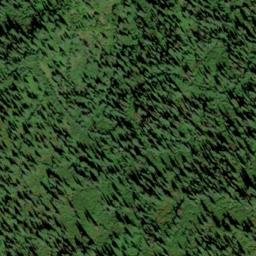 Satellite imagery of Osier Ridge, US