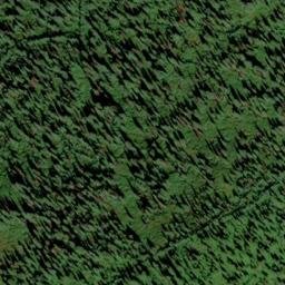 Satellite imagery of Osier Ridge, US