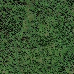 Satellite imagery of Osier Ridge, US