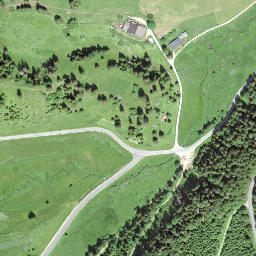 Satellite imagery of Mont Buclard, CH