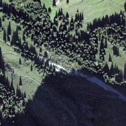 Satellite imagery of Brandegg, CH