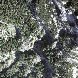Satellite imagery of Griggeler, CH