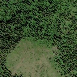 Satellite imagery of Osier Ridge, US