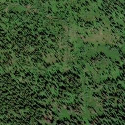 Satellite imagery of Osier Ridge, US