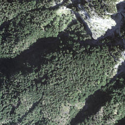 Satellite imagery of Griggeler, CH