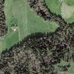 Satellite imagery of Egg, CH