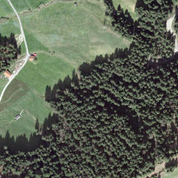Satellite imagery of Grüenewaldegg, CH