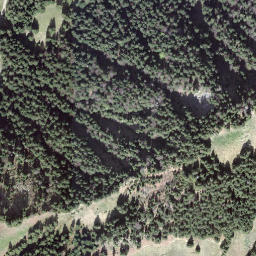 Satellite imagery of Grüenewaldegg, CH