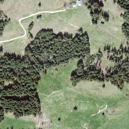Satellite imagery of Grüenewaldegg, CH