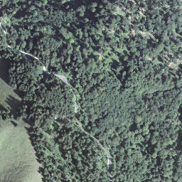 Satellite imagery of Schlegliegg, CH