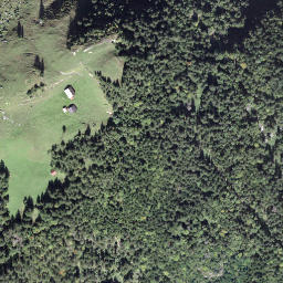 Satellite imagery of Wanneliegg, CH