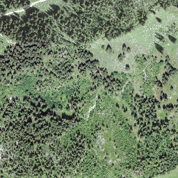 Satellite imagery of Wagliseichnubel, CH