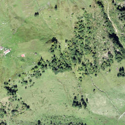 Satellite imagery of Schwarzegg, CH