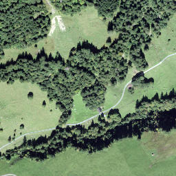 Satellite imagery of Schwarzegg, CH