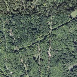 Satellite imagery of Horn, CH