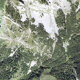 Satellite imagery of Ronenegg, CH
