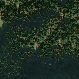 Satellite imagery of La Mutta, CH