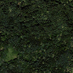 Satellite imagery of Rosenberg, AT