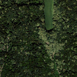 Satellite imagery of Rosenberg, AT