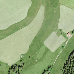 Satellite imagery of Mont des Cerfs, CH