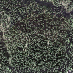 Satellite imagery of Fuchsegg, CH